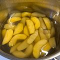 Varga Gábor (ApróSéf) Cooksnap-ja, amikor elkészítette a(z) Almakompót receptet.