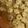Duru's cooksnap of when they made Spinach Dip Stuffed Mushrooms.