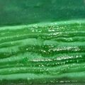 Cooksnap dari Nhenk Zana untuk resep Lapis India Pandan