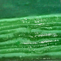 Cooksnap dari Nhenk Zana untuk resep Lapis India Pandan