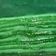 Cooksnap dari Nhenk Zana untuk resep Lapis India Pandan