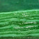 Cooksnap dari Nhenk Zana untuk resep Lapis India Pandan