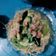 Cooksnap dari Mờnậ Tinneke Đữngữs untuk resep Mie Titi Makassar