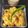 Harsha Gohil's cooksnap of when they made વેજીટેબલ ઉપમા (Vegetable Upma Recipe In Gujarati).