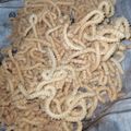 Cooksnap dari Fitrotul Hiidayah untuk resep Akar kelapa super duper renyah