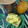 El cooksnap de Agus_tina cuando hizo Huevos revueltos de los buenos!.
