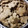 El cooksnap de Mirta Lizarraga cuando hizo Galletas de miel aptas para celiacos.