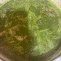 El cooksnap de Emelia Lima Zapta cuando hizo Mole verde.