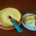 Cooksnap dari Dahlia MR untuk resep Bolu Jeruk