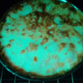 El cooksnap de Gastòn Rodriguez cuando hizo Pastel de carne con puré de boniato.