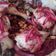 صورة من Peeress Peeress، شاركها بعد تجربة وصفة المسخن
