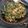 Cooksnap dari angelice nurul fitri untuk resep Urap sayuran