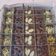 Cooksnap dari arnina putri untuk resep Fudgy Brownies