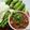 รูป Cooksnap ของ อภิรักษ์ อันทะยันต์ เมื่อเขาทำ น้ำพริกอ่องหมู