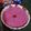 SHYAMALI MUKHERJEE's cooksnap of when they made ম্যাংগো শ্রীখন্ড.
