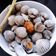 Cooksnap dari Diella untuk resep Kerang Dara Rebus
