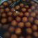 Cooksnap dari Mitha Zula untuk resep Biji salak