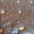 Cooksnap dari EngelinaS untuk resep Fudge brownies panggang