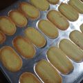 Cooksnap dari Gil untuk resep Lidah kucing