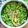 Vaishali Suhas 's cooksnap of when they made Gawar Vegetable cluster beans.