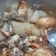 Cooksnap dari Dora Natalie untuk resep Lobak Tahu siram kuah Daging