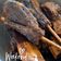 Cooksnap dari Valentina Lindawati Indarto untuk resep Iga bakar penyet ala mirza