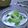 Cooksnap dari Thea Priestiashanti untuk resep ES Melon Jelly