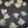 Cooksnap dari hello world untuk resep Sop baso bola udang