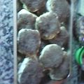 El cooksnap de Franco Ducca cuando hizo Tortas negras.