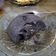 Cooksnap dari fitri untuk resep Beng beng lava cake