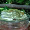 Cooksnap dari Ila Nurfadillah untuk resep Matcha Mille Crepes