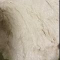 El cooksnap de Tris cuando hizo Galletitas de manzana para diabéticos!!!😋✨.