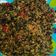 Cooksnap dari diana rosano untuk resep Kangkung crispy cabe garam