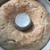 El cooksnap de Nazarena Burnichon cuando hizo Torta de banana.
