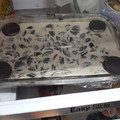 El cooksnap de JUAN DAVID CORREDOR GUERRERO cuando hizo Postre de galletas Oreo.