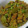 Naila Asif's cooksnap of when they made Qeema shimla mirch.
