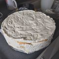 El cooksnap de Lorena De Ferrari cuando hizo Torta de Limón Helada (Fácil).