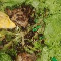 Cooksnap dari Mushab Asadullah untuk resep AYAM GORENG Kemiri