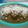 El cooksnap de Manuel Lopez cuando hizo Enchiladas verdes suizas-oaxaqueñas 🤔😅.