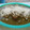 El cooksnap de Manuel Lopez cuando hizo Enchiladas verdes suizas-oaxaqueñas 🤔😅.