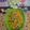 Shobha Rathod's cooksnap of when they made Corn Chaat.