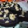 Cooksnap dari Ully Fananti untuk resep Brownies coklat kukus aka brownies amanda