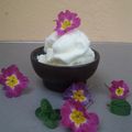 Cooksnap de Elsa Nunes - Flor de Rosmaninho! quando cozinhou Frozen iogurte caseiro.