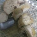 Cooksnap dari Tan Kwang Ming untuk resep stim ayam jahe 