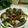 Cooksnap dari Ge Adhian untuk resep Daging Brokoli Saus Tiram