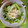 El cooksnap de Daniela Mera cuando hizo Ensalada con peras y nueces.