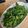 下廚地勤 的 豆腐乳空心菜 cooksnap