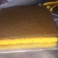 Cooksnap dari fithriyani tarigan untuk resep Lapis Surabaya Keto #Allaire Cake Flour