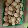 Cooksnap dari Puji Resni untuk resep Pempek Adaan Tengiri Asli Palembang