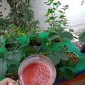 Cooksnap dari Ratih untuk resep Jus terong belanda wortel